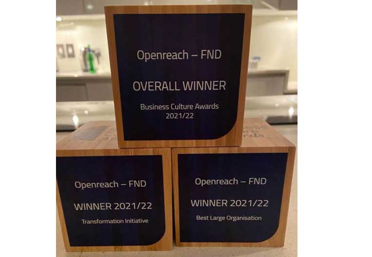 Image of Business Culture awards won by Openreach Fibre Network Delivery in 2021