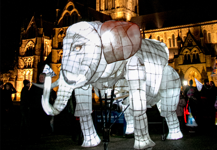 Image of an elephant lantern