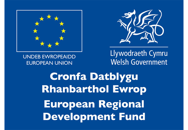 Welsh Gov EU 764x528